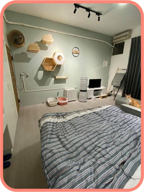 6萬輕裝潢有找 老宅臥室煥然一新